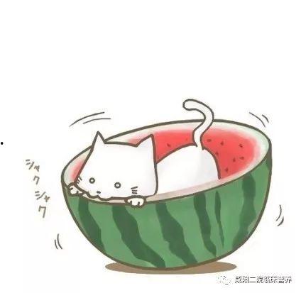 娱乐吃瓜酱头像图片大全,盘点潮流界的“瓜界网红”