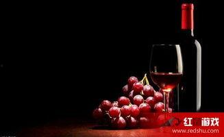 娱乐吃瓜酱红酒百醇,红酒百醇的跨界融合之旅