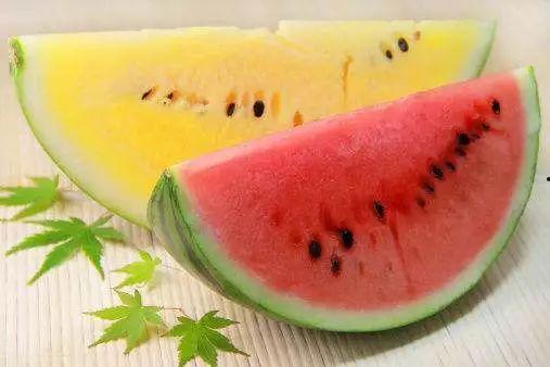 娱乐吃瓜酱属于什么领域,揭秘娱乐圈幕后故事与热点事件