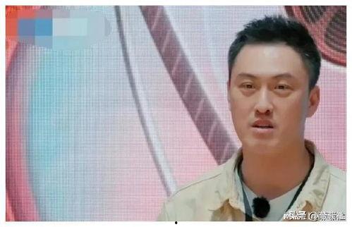 娱乐圈吃瓜爆料谢霆锋,揭秘明星背后的故事