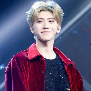 娱乐圈吃瓜全集pdf蔡徐坤,娱乐圈风云人物背后的故事