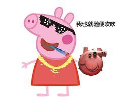 娱乐吃瓜酱肥猪猪